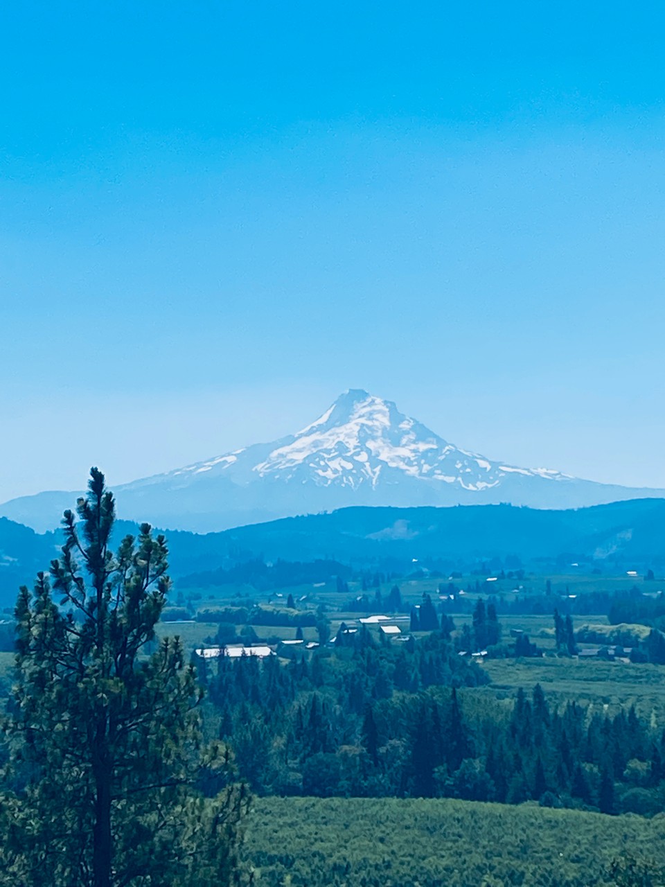 Mt Hood from Panorama Point